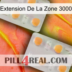 Exten Zone 3000 25
